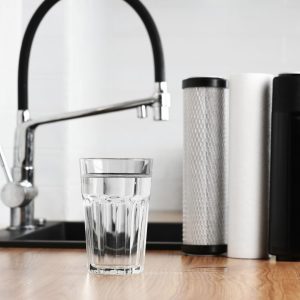 סננים ופילטרים