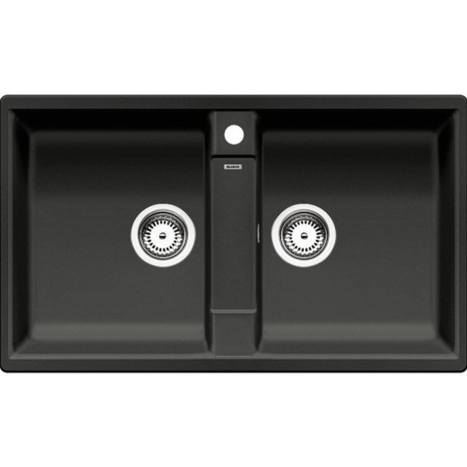 01955036_C_Web PPT ANT JPG_72dpi_20497 530x317 1 467x467 1