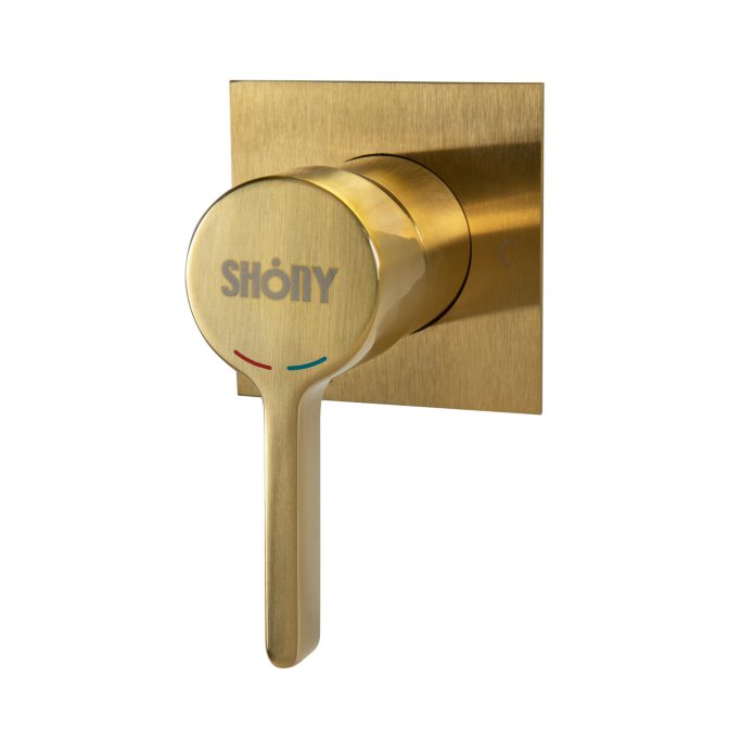 גולי 3 דרך 695x695 1